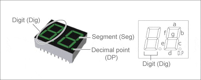 D42 Module 6 Led 7 đoạn 30x40mm 12 inch